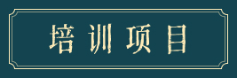 培训项目