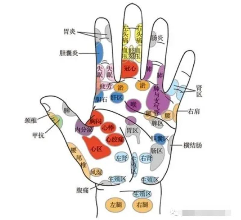 全网最全：手诊完全图解大全集！一学就会，自己也能看