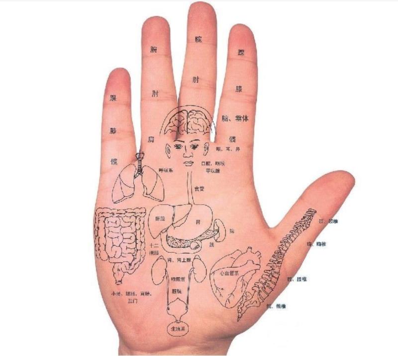 手诊大全:常见病，从手上就能看出来（附珍贵的《手诊歌》）建议收藏！